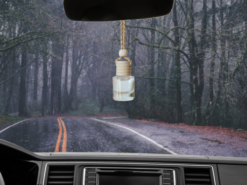 Hanging car air freshener diffuser