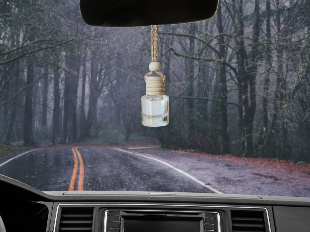 Hanging car air freshener diffuser